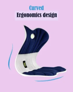 Curved Ergonomic Chair Design